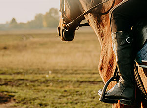 Férias gostosas na fazenda